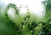 南安普敦主场告胜，取得关键胜利