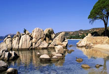 多特蒙德重振旗鼓，霍芬海姆涉险绝杀：德甲赛场上的激情与戏剧